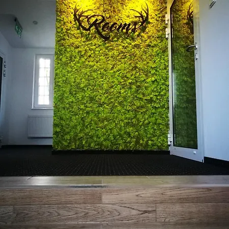 Hotelowe Nad Jeziorem Jelen