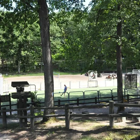 Hostal Hotelowe Nad Jeziorem Jelen