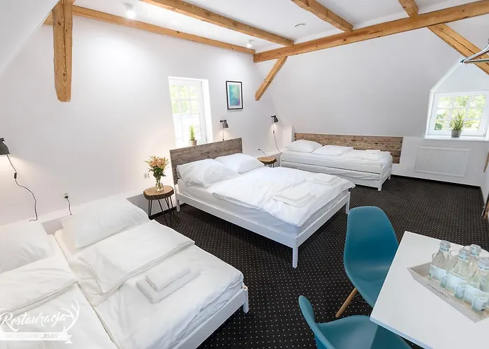 Hotelowe Nad Jeziorem Jelen