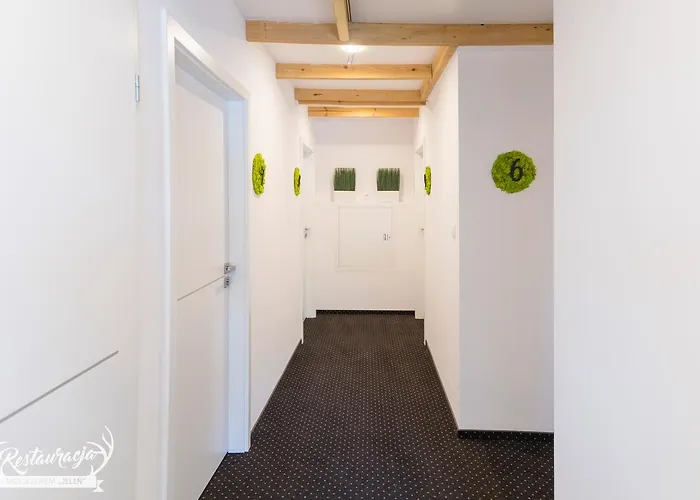 Hostel Hotelowe Nad Jeziorem Jelen